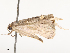  ( - CBG-B22882-C12)  @11 [ ] CreativeCommons - Attribution Share - Alike (2025) CBG Photography Group Centre for Biodiversity Genomics