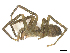 ( - CBG-B22923-H10)  @11 [ ] CreativeCommons - Attribution Share - Alike (2025) CBG Photography Group Centre for Biodiversity Genomics
