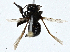  ( - CBG-A00276-E09)  @11 [ ] CreativeCommons - Attribution (2023) CBG Photography Group Centre for Biodiversity Genomics