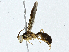  ( - CBG-A00276-E12)  @11 [ ] CreativeCommons - Attribution (2023) CBG Photography Group Centre for Biodiversity Genomics