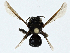  ( - CBG-A00330-D12)  @11 [ ] CreativeCommons - Attribution (2023) CBG Photography Group Centre for Biodiversity Genomics
