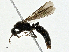 ( - CBG-A00332-D01)  @11 [ ] CreativeCommons - Attribution (2023) CBG Photography Group Centre for Biodiversity Genomics