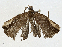  ( - CBG-A00374-C02)  @11 [ ] CreativeCommons - Attribution (2023) CBG Photography Group Centre for Biodiversity Genomics