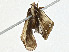  ( - CBG-A00376-D02)  @11 [ ] CreativeCommons - Attribution (2023) CBG Photography Group Centre for Biodiversity Genomics