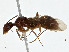  ( - CBG-A00376-F02)  @11 [ ] CreativeCommons - Attribution (2023) CBG Photography Group Centre for Biodiversity Genomics