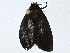  ( - CBG-A00377-G11)  @11 [ ] CreativeCommons - Attribution (2023) CBG Photography Group Centre for Biodiversity Genomics