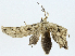  ( - CBG-A01170-B07)  @11 [ ] CreativeCommons - Attribution (2023) CBG Photography Group Centre for Biodiversity Genomics
