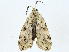  ( - CBG-A01170-B09)  @11 [ ] CreativeCommons - Attribution (2023) CBG Photography Group Centre for Biodiversity Genomics