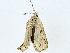  ( - CBG-A01170-B10)  @11 [ ] CreativeCommons - Attribution (2023) CBG Photography Group Centre for Biodiversity Genomics