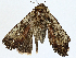 ( - CBG-A01170-C05)  @11 [ ] CreativeCommons - Attribution (2023) CBG Photography Group Centre for Biodiversity Genomics