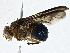  ( - CBG-A01171-D04)  @11 [ ] CreativeCommons - Attribution (2023) CBG Photography Group Centre for Biodiversity Genomics