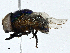  ( - CBG-A01182-B10)  @11 [ ] CreativeCommons - Attribution (2023) CBG Photography Group Centre for Biodiversity Genomics