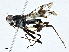  ( - CBG-A01183-A08)  @11 [ ] CreativeCommons - Attribution (2023) CBG Photography Group Centre for Biodiversity Genomics