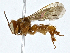  ( - CBG-A01185-C08)  @11 [ ] CreativeCommons - Attribution (2023) CBG Photography Group Centre for Biodiversity Genomics