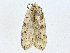  ( - CBG-A01214-B06)  @11 [ ] CreativeCommons - Attribution (2023) CBG Photography Group Centre for Biodiversity Genomics
