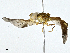  ( - CBG-A01214-H05)  @11 [ ] CreativeCommons - Attribution (2023) CBG Photography Group Centre for Biodiversity Genomics