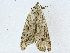  ( - CBG-A01215-C12)  @11 [ ] CreativeCommons - Attribution (2023) CBG Photography Group Centre for Biodiversity Genomics