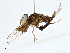  ( - CBG-A01218-D05)  @11 [ ] CreativeCommons - Attribution (2023) CBG Photography Group Centre for Biodiversity Genomics