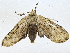  ( - CBG-A01218-E06)  @11 [ ] CreativeCommons - Attribution (2023) CBG Photography Group Centre for Biodiversity Genomics