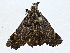  ( - CBG-A01219-B06)  @11 [ ] CreativeCommons - Attribution (2023) CBG Photography Group Centre for Biodiversity Genomics