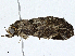  ( - CBG-A01219-B07)  @11 [ ] CreativeCommons - Attribution (2023) CBG Photography Group Centre for Biodiversity Genomics