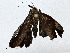  ( - CBG-A01220-E09)  @11 [ ] CreativeCommons - Attribution (2023) CBG Photography Group Centre for Biodiversity Genomics