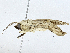  ( - CBG-A01220-G08)  @11 [ ] CreativeCommons - Attribution (2023) CBG Photography Group Centre for Biodiversity Genomics