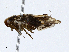  ( - CBG-A01241-C08)  @11 [ ] CreativeCommons - Attribution (2023) CBG Photography Group Centre for Biodiversity Genomics