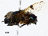  ( - CBG-A02892-C05)  @11 [ ] CreativeCommons - Attribution (2023) CBG Photography Group Centre for Biodiversity Genomics