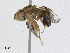  ( - CBG-A04464-A03)  @11 [ ] CreativeCommons - Attribution (2023) CBG Photography Group Centre for Biodiversity Genomics