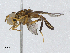  ( - CBG-A04465-B10)  @11 [ ] CreativeCommons - Attribution (2023) CBG Photography Group Centre for Biodiversity Genomics