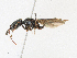  ( - CBG-A18373-G10)  @11 [ ] CreativeCommons - Attribution Share-Alike (2023) CBG Photography Group Centre for Biodiversity Genomics