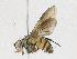  ( - CBG-A18377-F06)  @11 [ ] CreativeCommons - Attribution Share-Alike (2023) CBG Photography Group Centre for Biodiversity Genomics