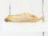  (Salia Malaise0017 - CBG-A18378-B12)  @11 [ ] CreativeCommons - Attribution Share-Alike (2023) CBG Photography Group Centre for Biodiversity Genomics