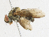  ( - CBG-A18378-D12)  @11 [ ] CreativeCommons - Attribution Share-Alike (2023) CBG Photography Group Centre for Biodiversity Genomics