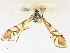  ( - CBG-A21596-G10)  @11 [ ] CreativeCommons - Attribution Share-Alike (2023) CBG Photography Group Centre for Biodiversity Genomics