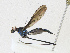  ( - CBG-A21597-E08)  @11 [ ] CreativeCommons - Attribution Share-Alike (2023) CBG Photography Group Centre for Biodiversity Genomics
