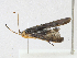  ( - CBG-A21598-E11)  @11 [ ] CreativeCommons - Attribution Share - Alike (2023) CBG Photography Group Centre for Biodiversity Genomics