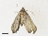  ( - CBG-A21600-D12)  @11 [ ] CreativeCommons - Attribution Share-Alike (2023) CBG Photography Group Centre for Biodiversity Genomics