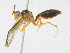  ( - CBG-A21666-G09)  @11 [ ] CreativeCommons - Attribution Share - Alike (2023) CBG Photography Group Centre for Biodiversity Genomics