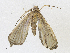  ( - CBG-A21753-A09)  @11 [ ] CreativeCommons - Attribution Share-Alike (2023) CBG Photography Group Centre for Biodiversity Genomics
