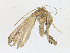  ( - CBG-A21754-B04)  @11 [ ] CreativeCommons - Attribution Share-Alike (2023) CBG Photography Group Centre for Biodiversity Genomics