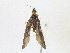  ( - CBG-A21754-B08)  @11 [ ] CreativeCommons - Attribution Share-Alike (2023) CBG Photography Group Centre for Biodiversity Genomics