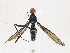  ( - CBG-A21754-G06)  @11 [ ] CreativeCommons - Attribution Share-Alike (2023) CBG Photography Group Centre for Biodiversity Genomics