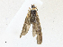  ( - CBG-A21754-G10)  @11 [ ] CreativeCommons - Attribution Share-Alike (2023) CBG Photography Group Centre for Biodiversity Genomics
