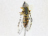  ( - CBG-A23335-F06)  @11 [ ] CreativeCommons - Attribution Share - Alike (2023) CBG Photography Group Centre for Biodiversity Genomics