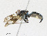  ( - CBG-A23342-D07)  @11 [ ] CreativeCommons - Attribution Share - Alike (2023) CBG Photography Group Centre for Biodiversity Genomics