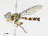  ( - CBG-A23342-E05)  @11 [ ] CreativeCommons - Attribution Share - Alike (2023) CBG Photography Group Centre for Biodiversity Genomics