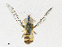  ( - CBG-A23342-E11)  @11 [ ] CreativeCommons - Attribution Share - Alike (2023) CBG Photography Group Centre for Biodiversity Genomics