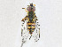  ( - CBG-A23402-F02)  @11 [ ] CreativeCommons - Attribution Share - Alike (2023) CBG Photography Group Centre for Biodiversity Genomics